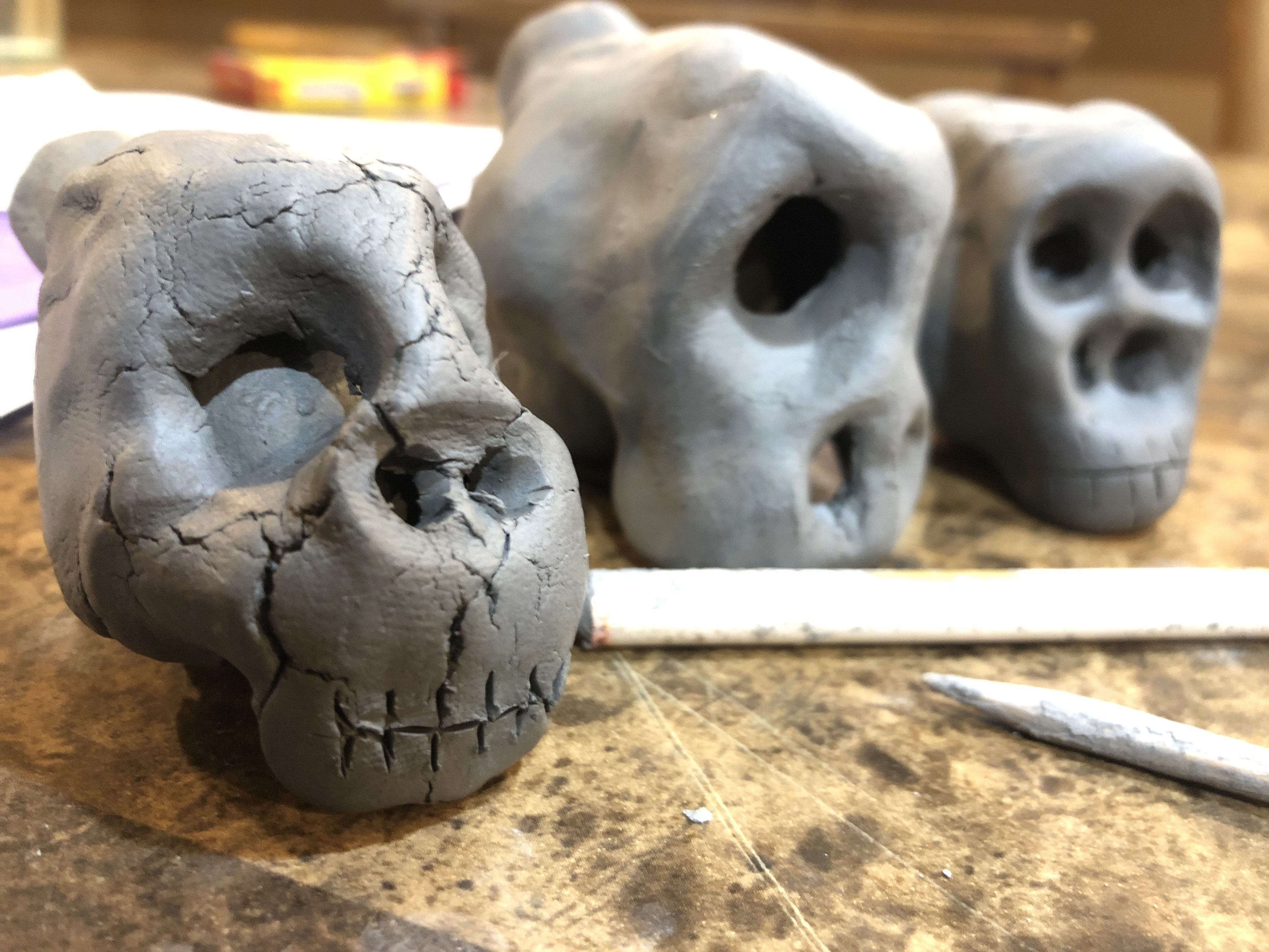 Skulls: From Life to Death (the meaning of skull and crossbones) - Virginia  Mountain Woodworks