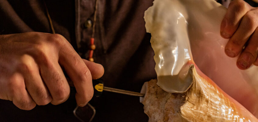 Making a Conch Shell Trumpet